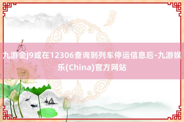 九游会J9或在12306查询到列车停运信息后-九游娱乐(China)官方网站