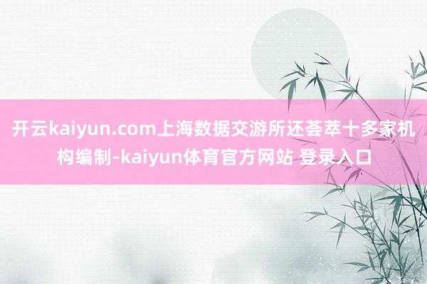 开云kaiyun.com上海数据交游所还荟萃十多家机构编制-kaiyun体育官方网站 登录入口