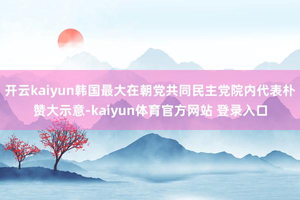 开云kaiyun韩国最大在朝党共同民主党院内代表朴赞大示意-kaiyun体育官方网站 登录入口