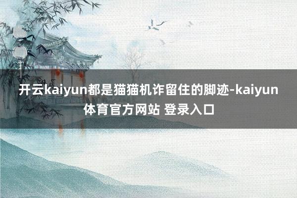 开云kaiyun都是猫猫机诈留住的脚迹-kaiyun体育官方网站 登录入口