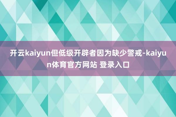 开云kaiyun但低级开辟者因为缺少警戒-kaiyun体育官方网站 登录入口