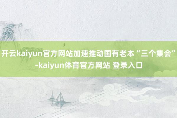 开云kaiyun官方网站加速推动国有老本“三个集会”-kaiyun体育官方网站 登录入口