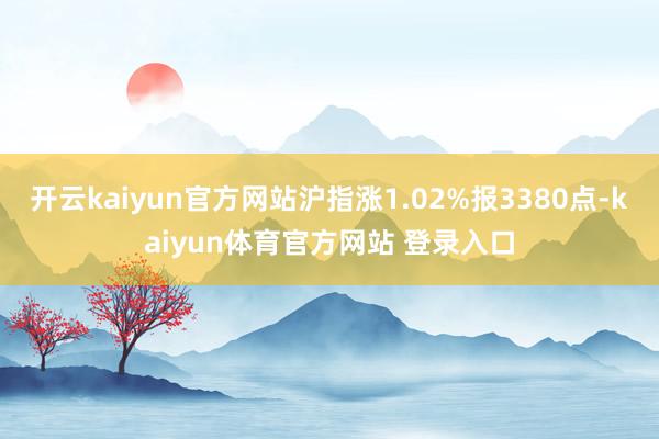 开云kaiyun官方网站沪指涨1.02%报3380点-kaiyun体育官方网站 登录入口
